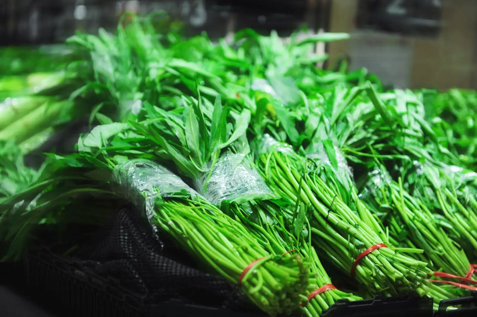 上海立分食堂托管服务:后厨承包与绩效考核一体化方案解析